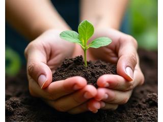Hand holding a small green seedling with a gentle glow